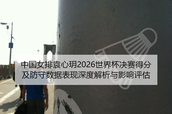中国女排袁心玥2026世界杯决赛得分及防守数据表现深度解析与影响评估